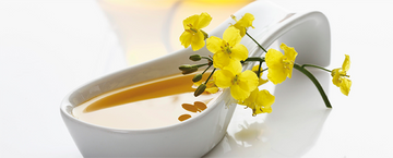 What is the meaning of Canola Oil in Hindi?